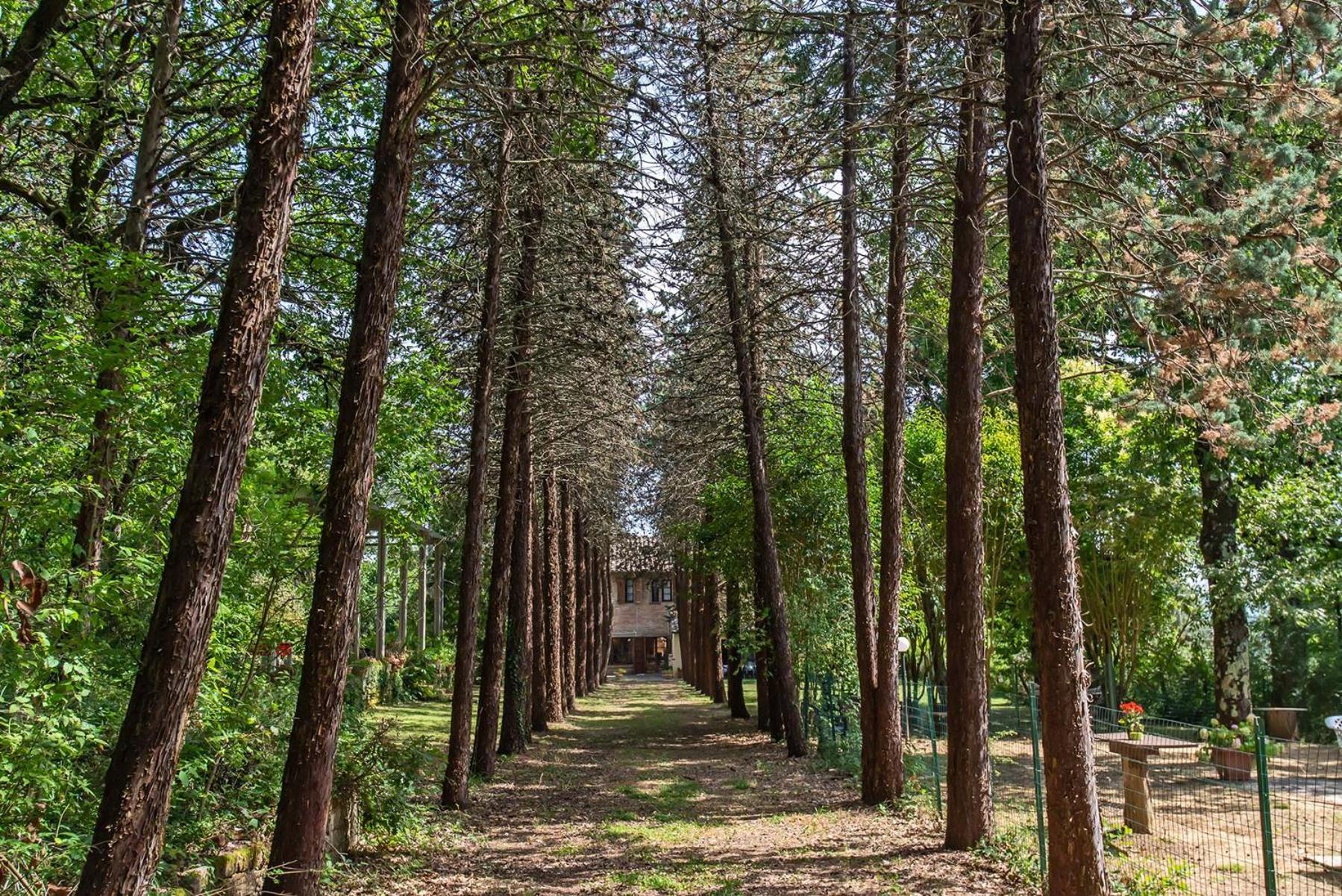 Agriturismo Villa Alari Четона Екстериор снимка