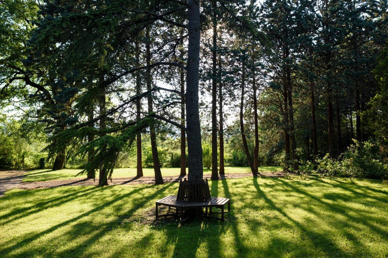 Agriturismo Villa Alari Четона Екстериор снимка